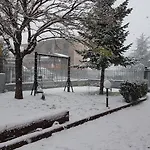 Bluviro Bronte