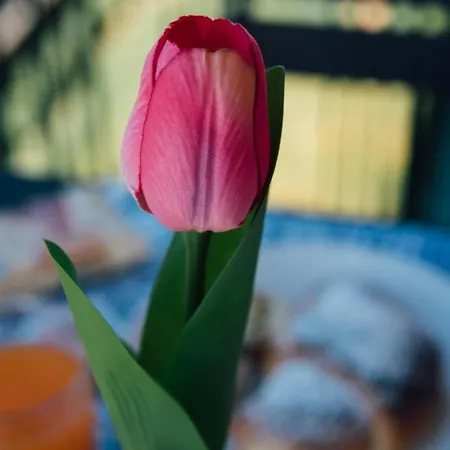 Bluviro 住宿加早餐酒店 布龙泰