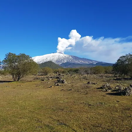 Bed & Breakfast Bluviro