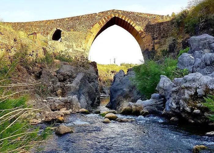 Bluviro Bronte