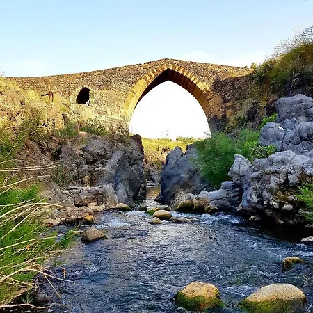 Bluviro ブロンテ