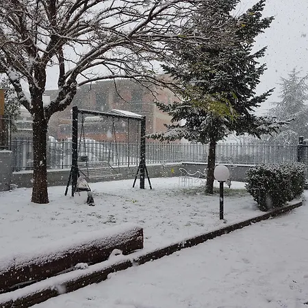 Bluviro Bronte