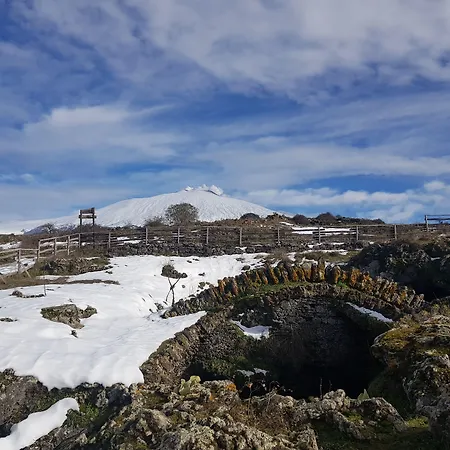 Bluviro Bed & Breakfast